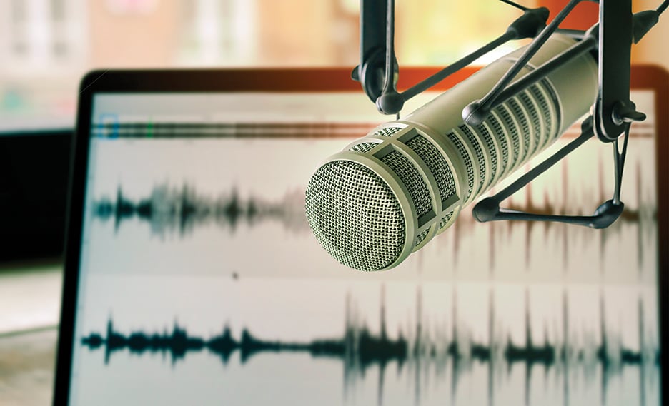 Professional microphone w/waveform