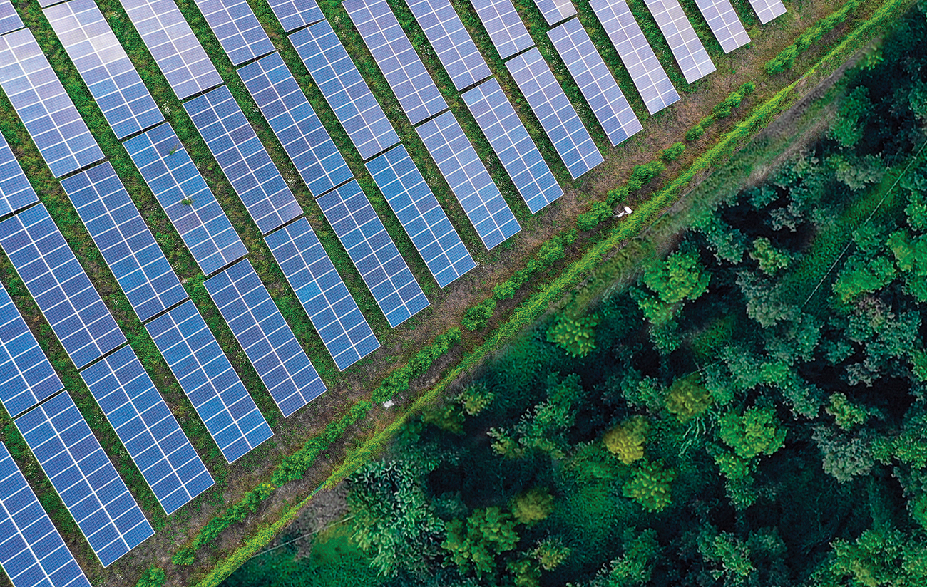 charles river associates solar panels hillside forest