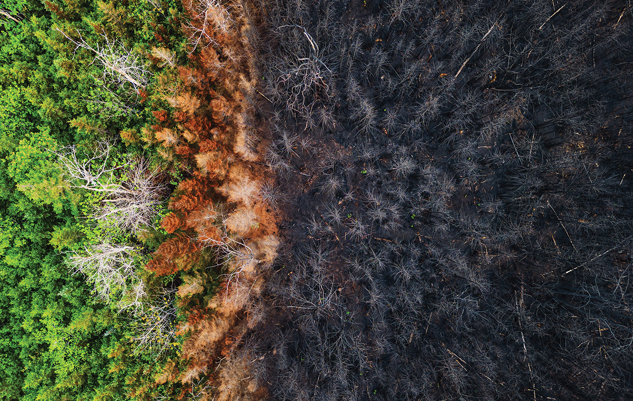 Aerial View of Wildfire Damage