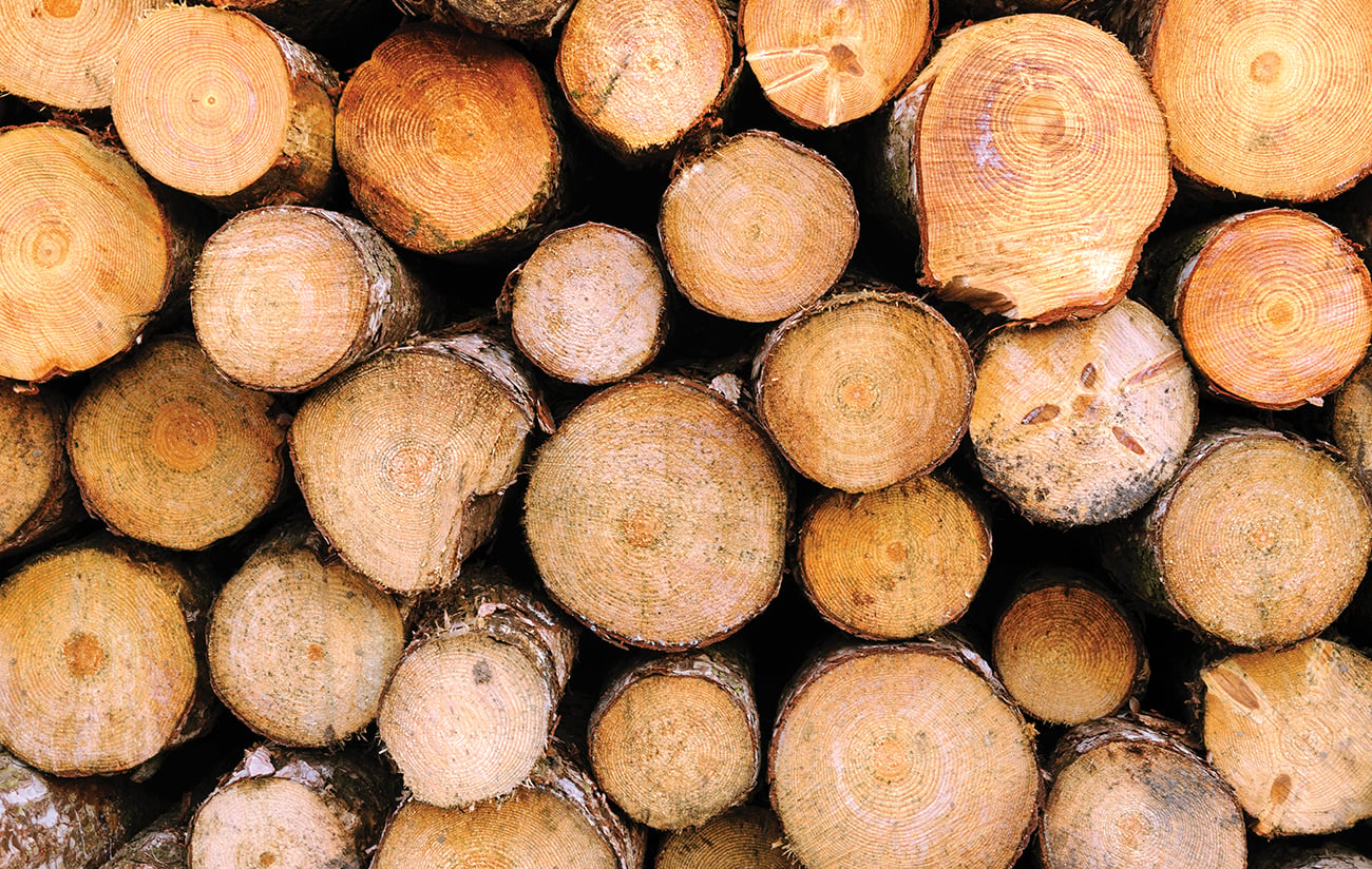 Stack of Lumber